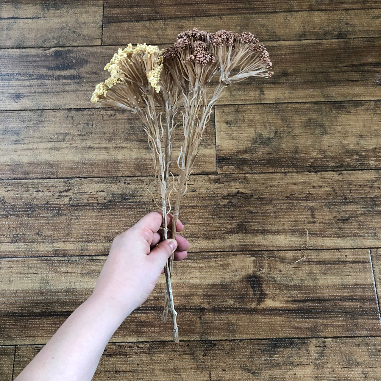 ライスフラワー