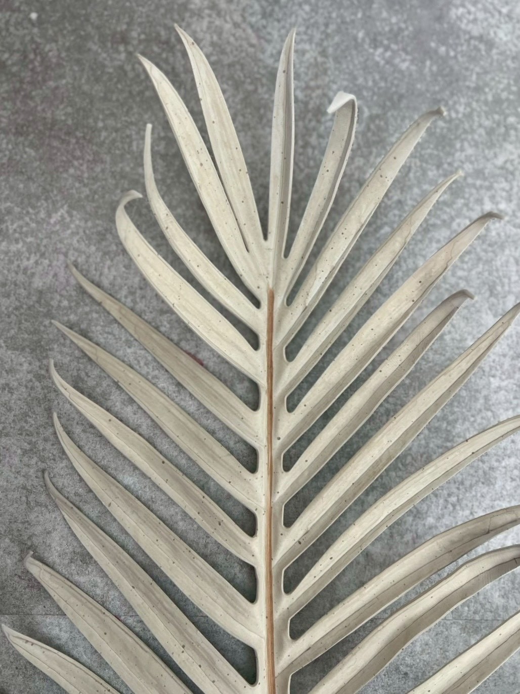 【送料無料♪】くすみカラーの大きなパームリーフ