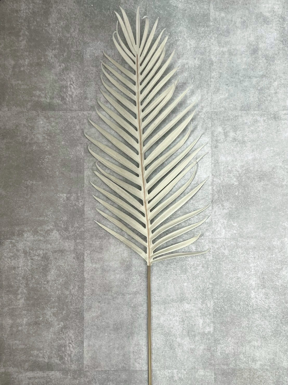 【送料無料♪】くすみカラーの大きなパームリーフ