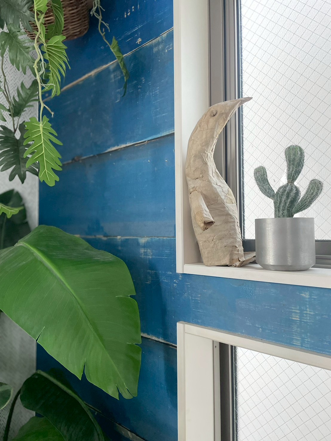 バンザイサボテン