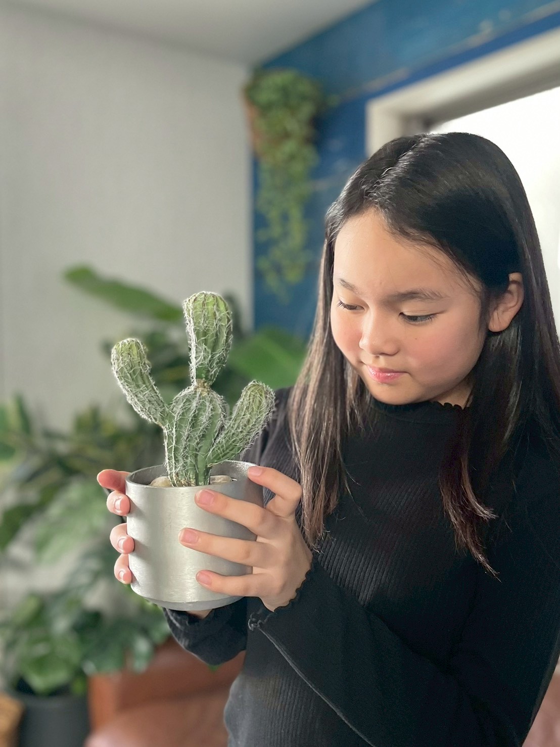 バンザイサボテン