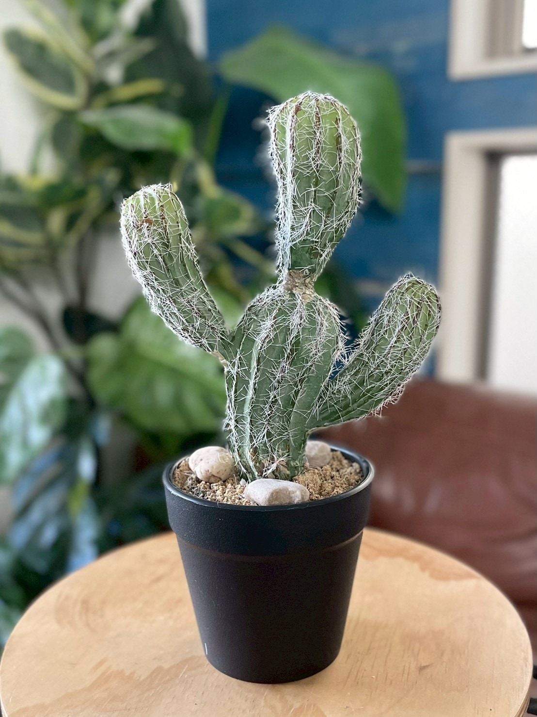 バンザイサボテン|おしゃれなフェイクグリーン・人工観葉植物通販