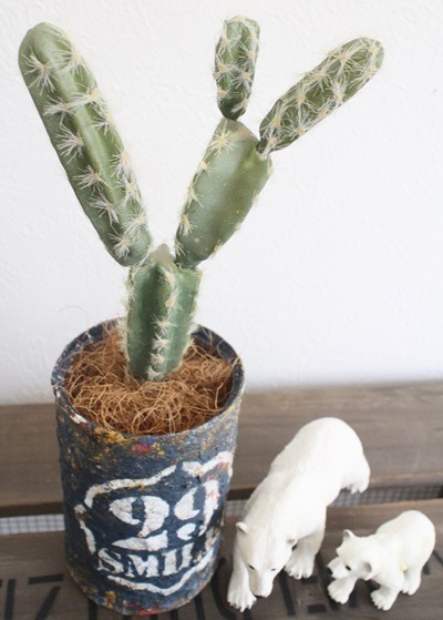 ココファイバー(100ｇ)