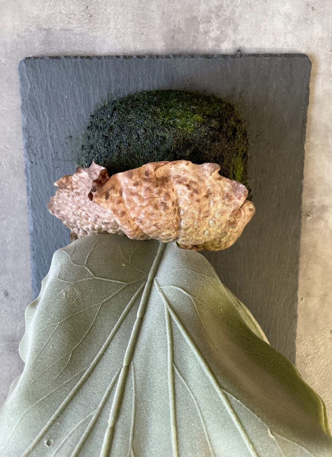 大きな板付けコウモリラン|おしゃれなフェイクグリーン・人工観葉植物