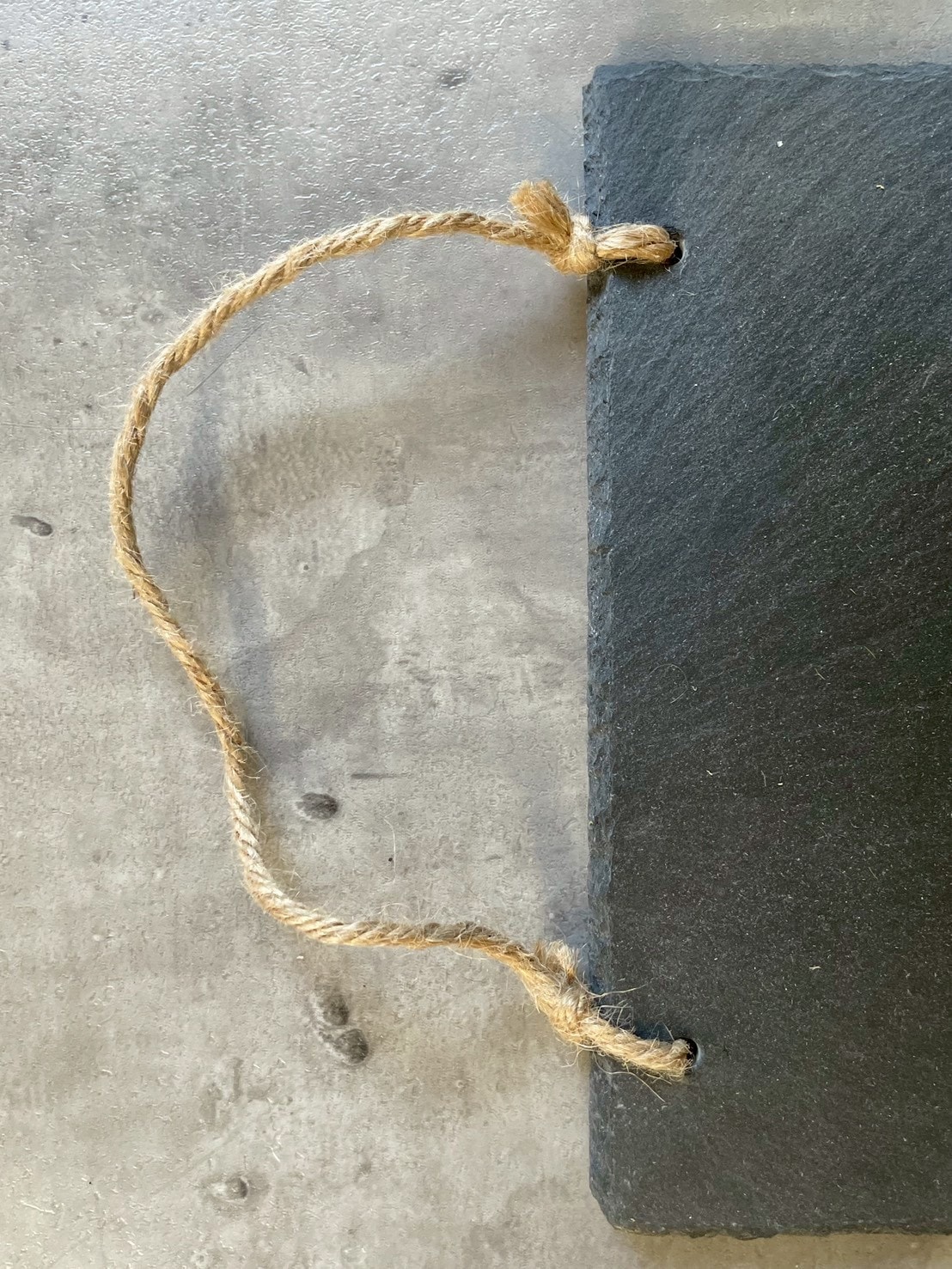 大きな板付けコウモリラン