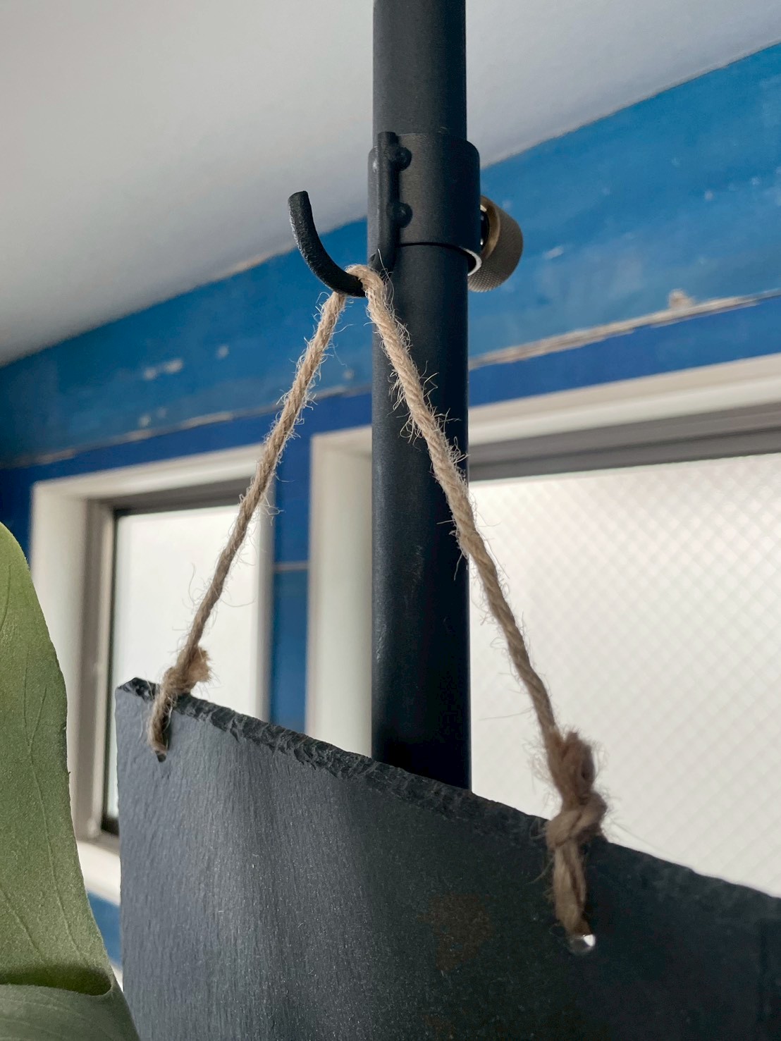 板付けコウモリラン|おしゃれなフェイクグリーン・人工観葉植物通販