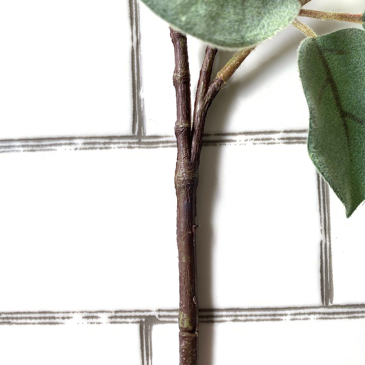 ちょいもけリーフ