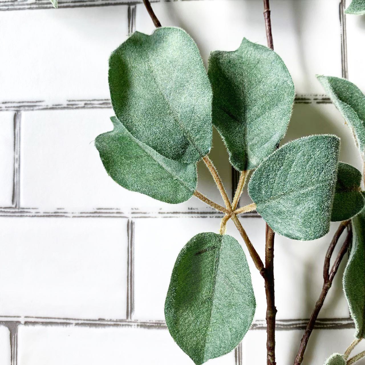 ちょいもけリーフ