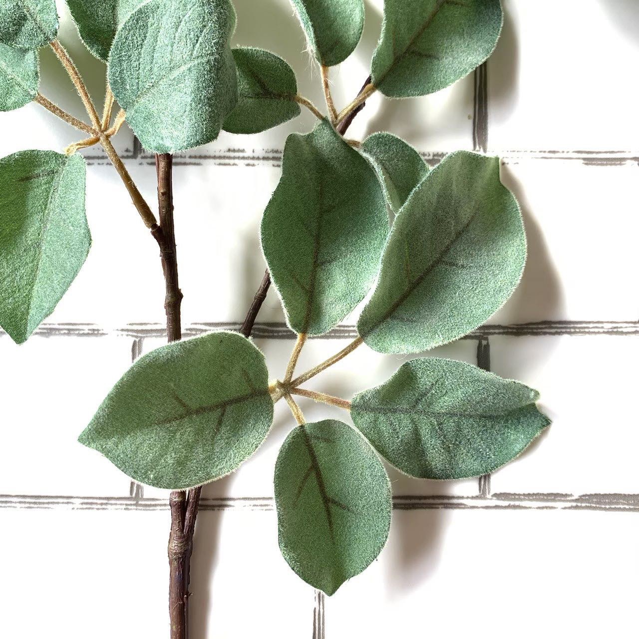 ちょいもけリーフ