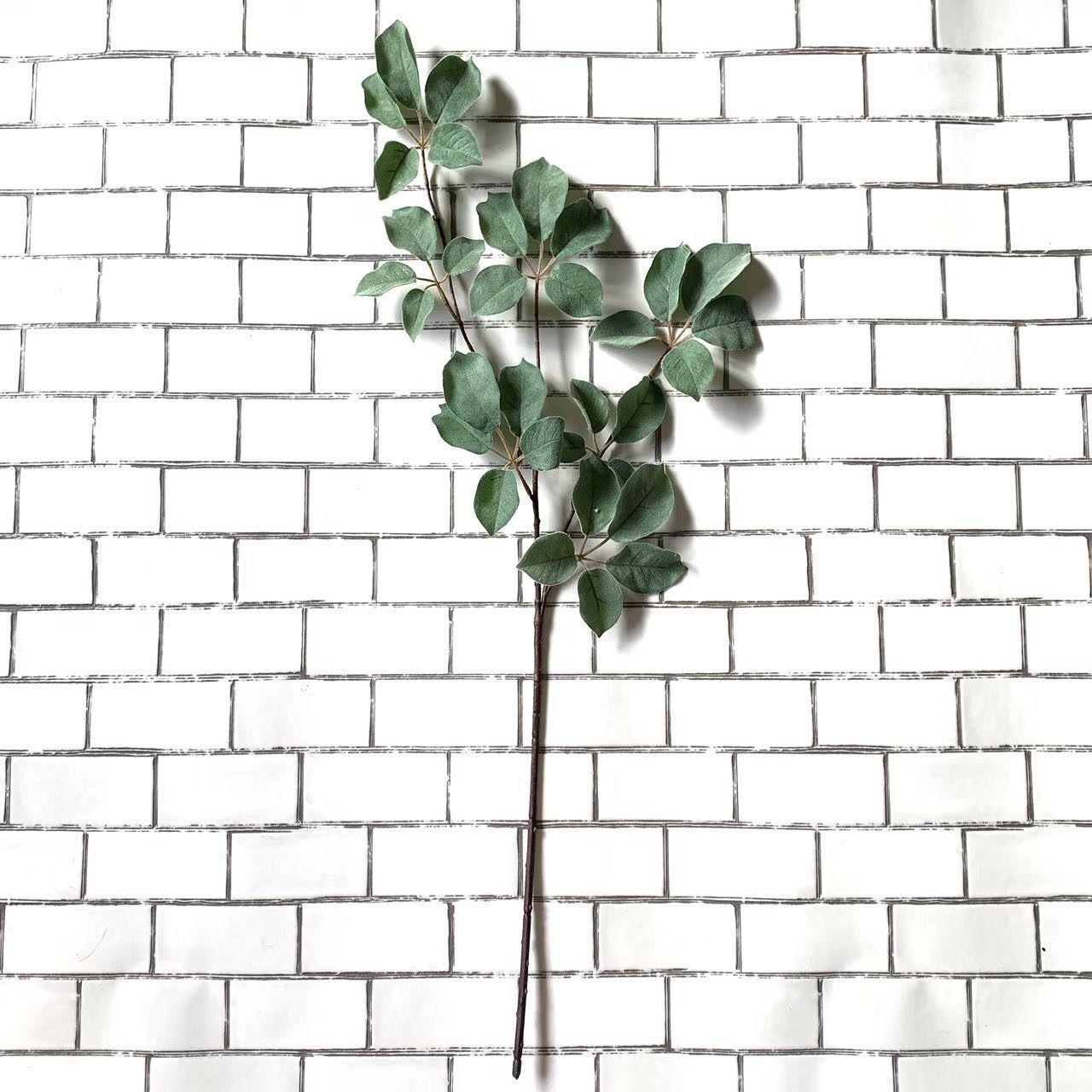 ちょいもけリーフ