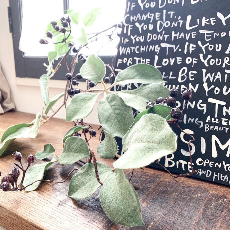 ちょいもけリーフ