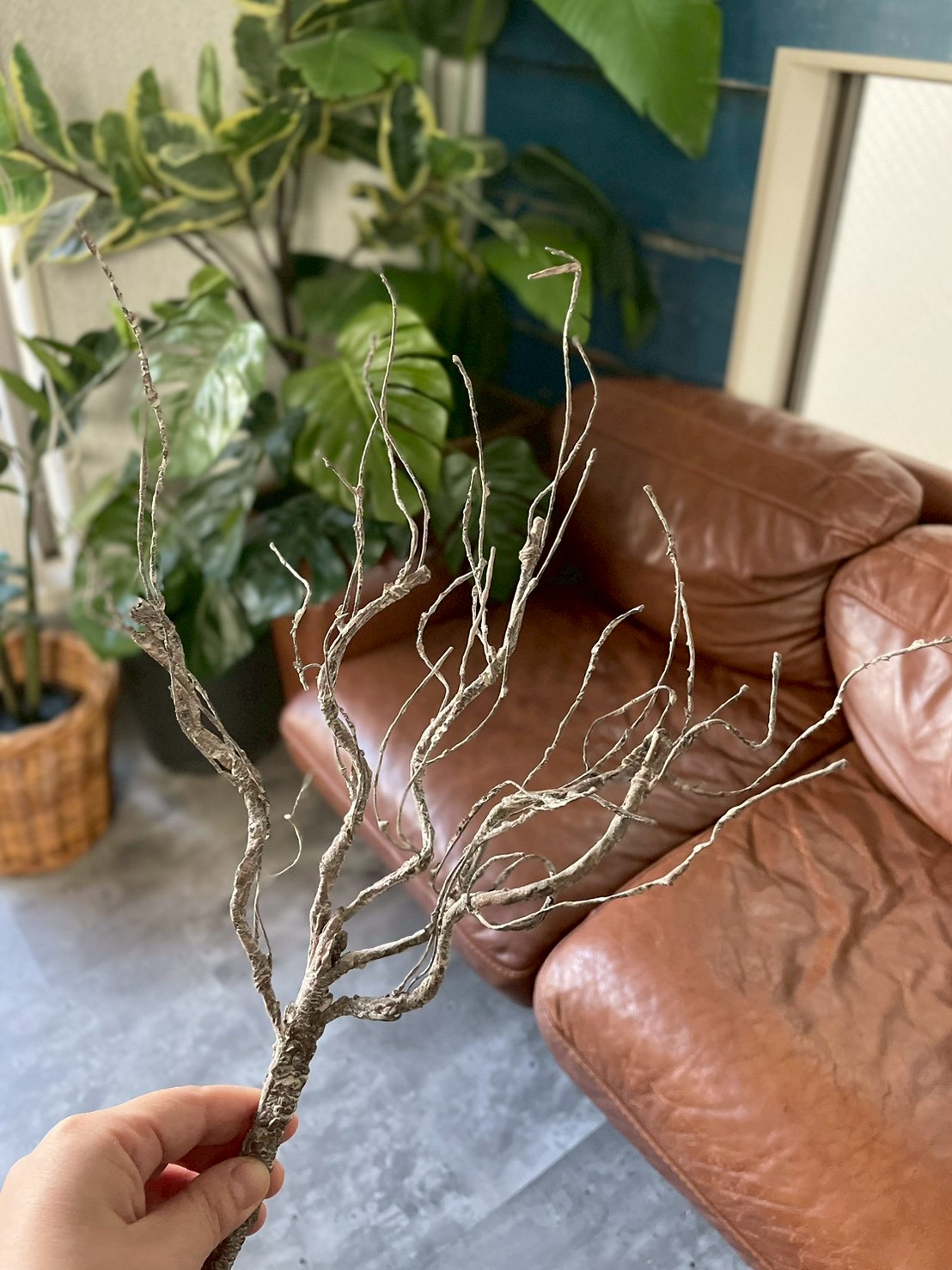 ワシャワシャブランチ