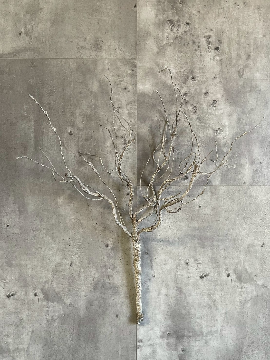 ワシャワシャブランチ