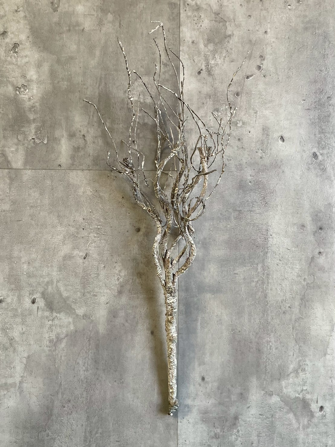 ワシャワシャブランチ