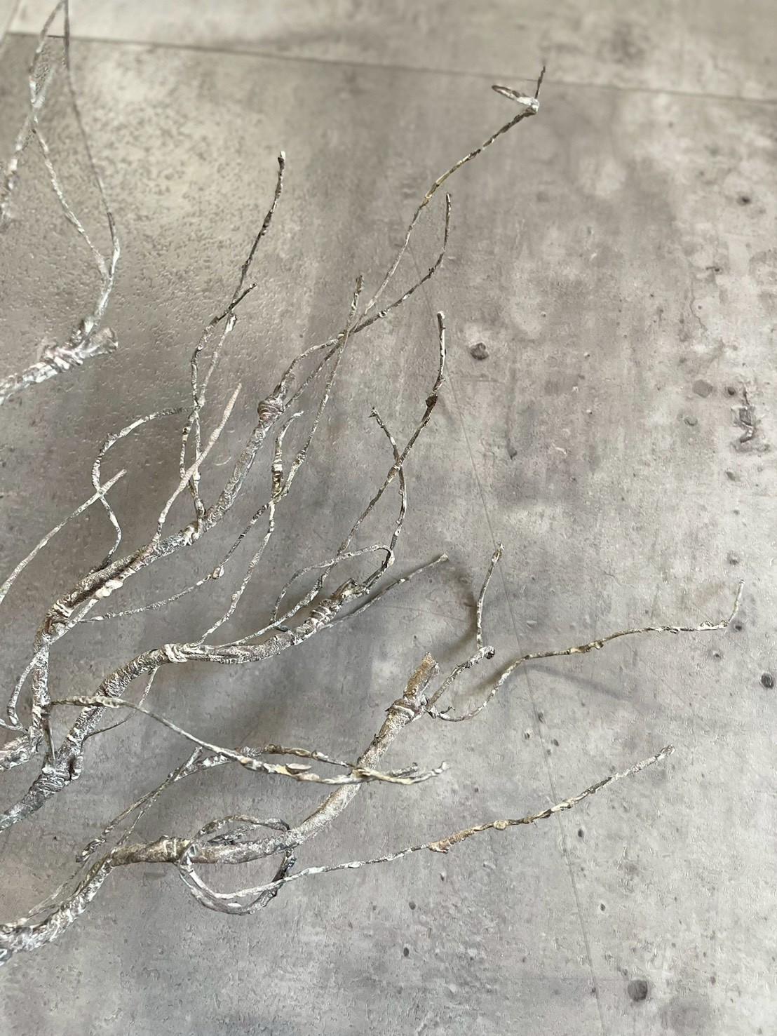 ワシャワシャブランチ