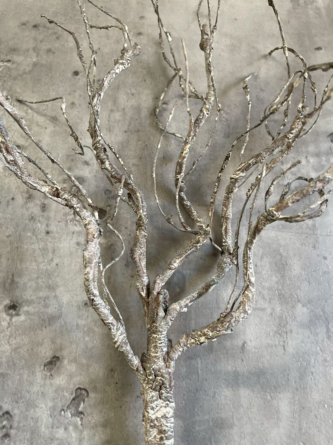 ワシャワシャブランチ