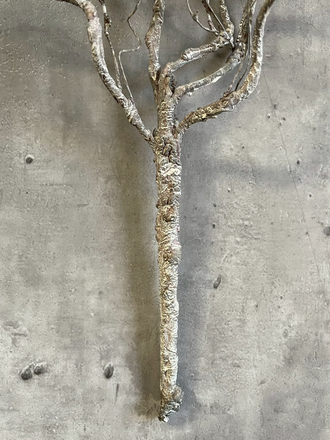 ワシャワシャブランチ