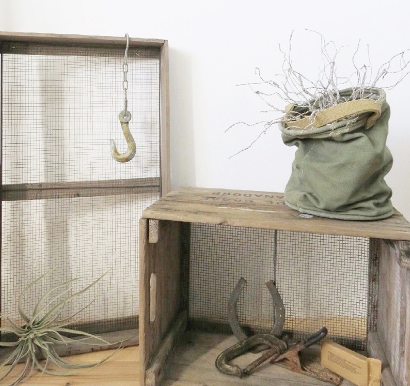 ワシャワシャブランチ