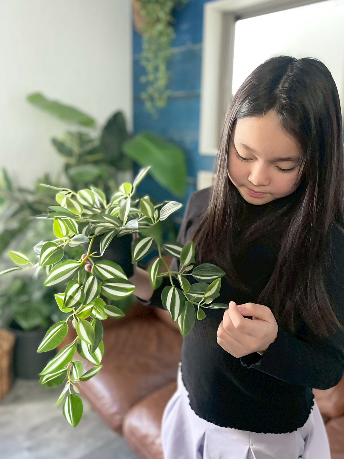 バイカラーなツユクサ(ポット付)