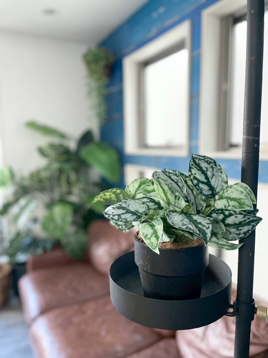 わさわさスキンダプサス|おしゃれなフェイクグリーン・人工観葉植物