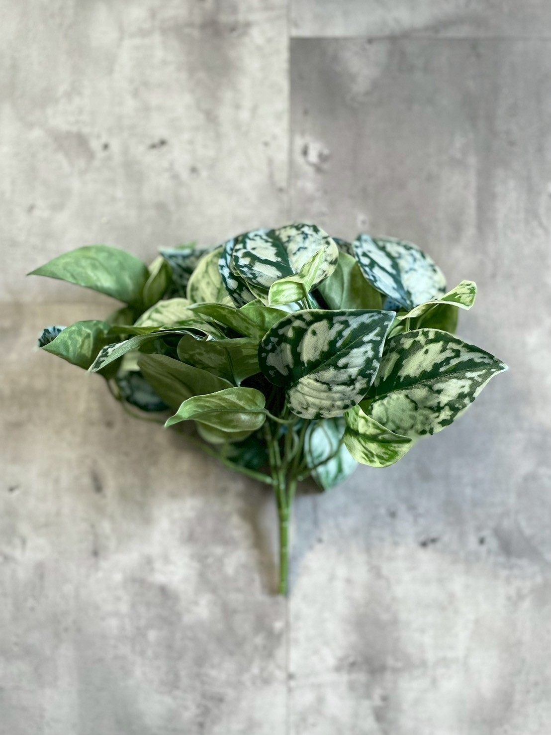 わさわさスキンダプサス|おしゃれなフェイクグリーン・人工観葉植物