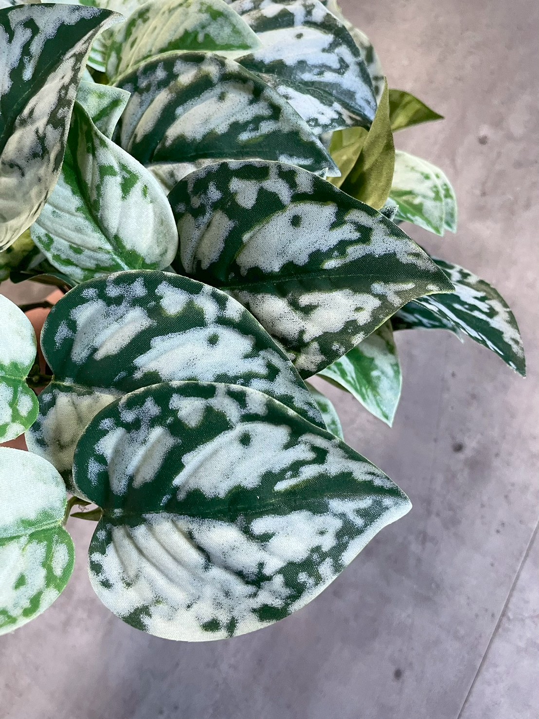 わさわさスキンダプサス|おしゃれなフェイクグリーン・人工観葉植物