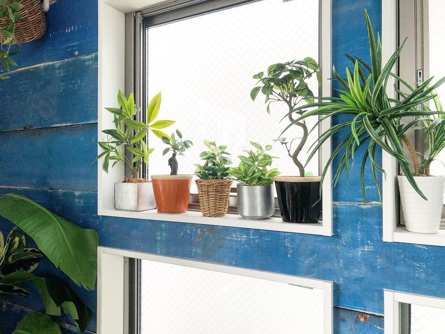 ラウンド型の鉢 (シルバー)