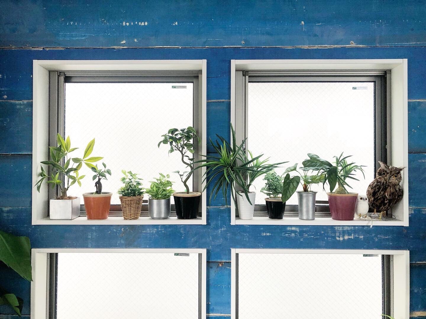 ラウンド型の鉢 (シルバー)