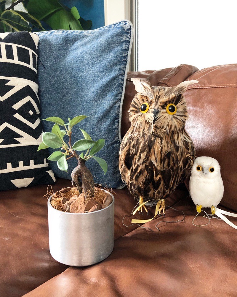 ラウンド型の鉢 (シルバー)