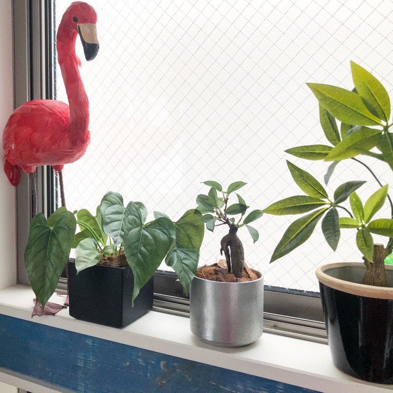 ラウンド型の鉢 (シルバー)