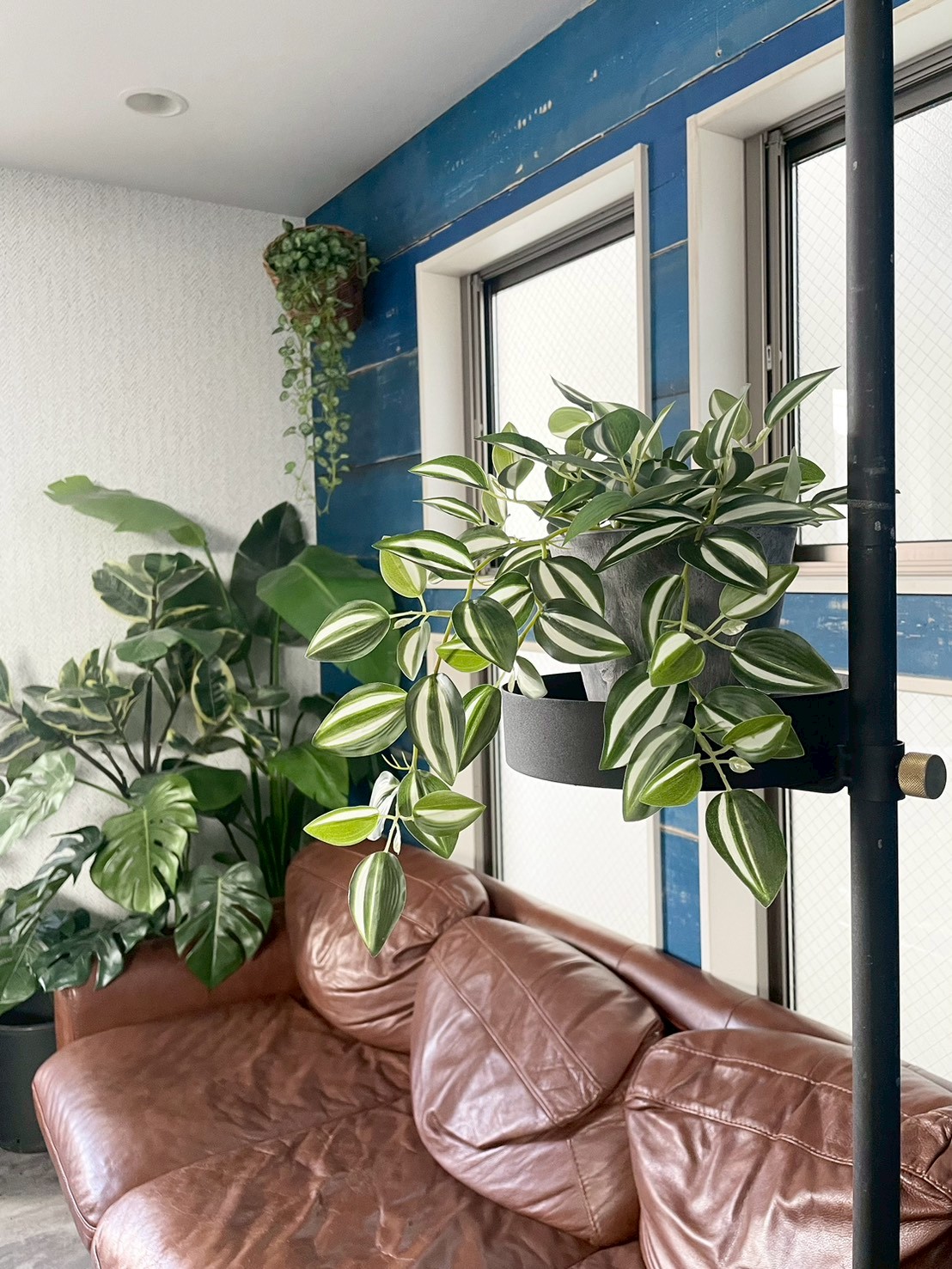 バイカラーなツユクサ