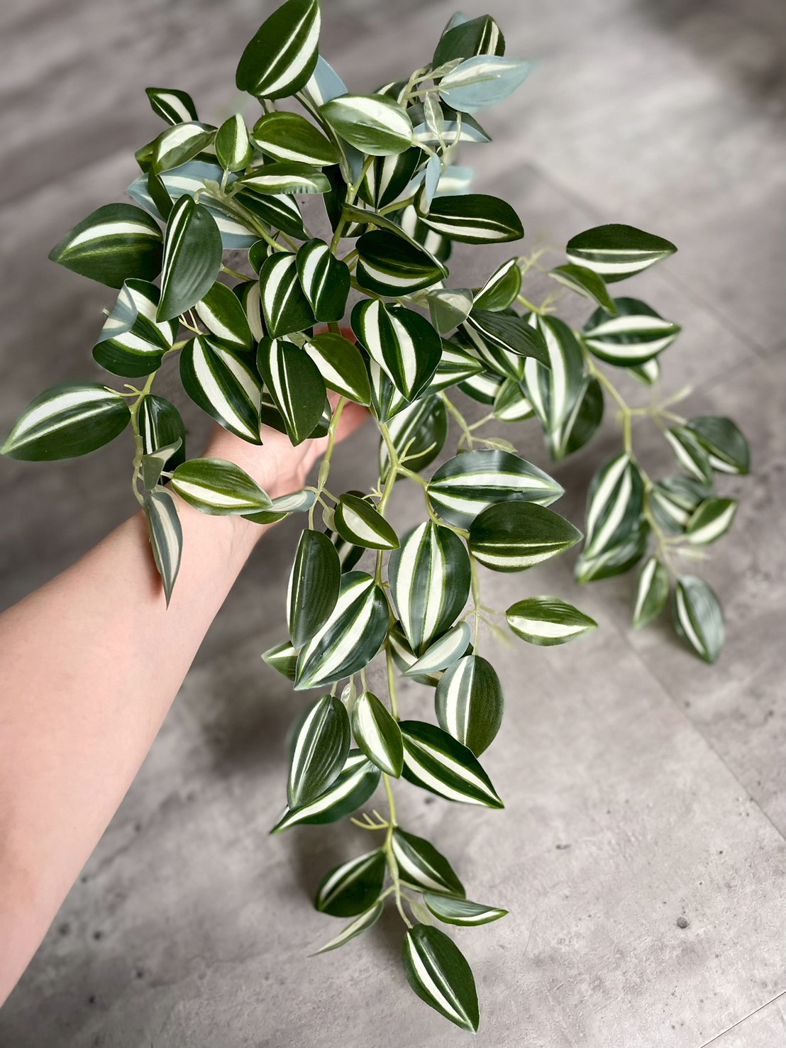 バイカラーなツユクサ|おしゃれなフェイクグリーン・人工観葉植物通販