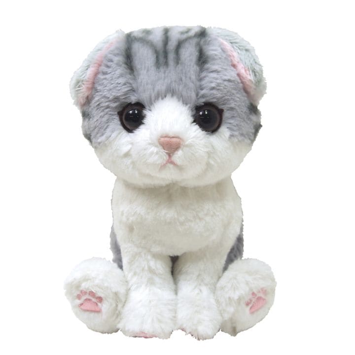 キトン　ぬいぐるみ　スコティッシュフォールド　ＧＹ P-4212