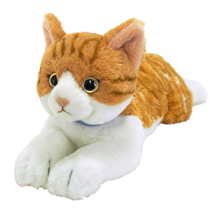 サンレモン　ひざねこ　チャシロ　Ｍサイズ P-7802