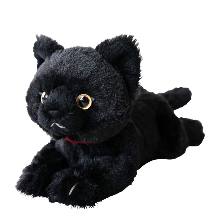 サンレモン　ひざねこ　ＳＳサイズ　ブラック P-8032