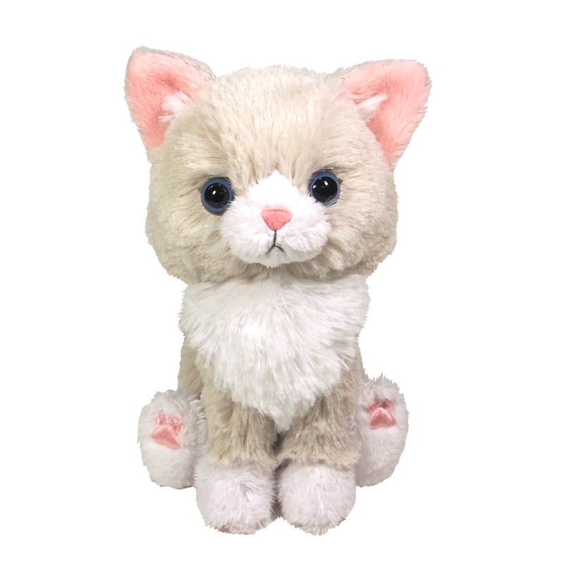 サンレモン　キトン　ぬいぐるみ　ラグドール P-1352