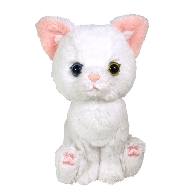 サンレモン　キトン　ぬいぐるみ　シロネコ P-1362