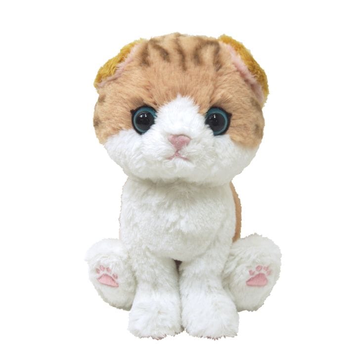 サンレモン　キトン　ぬいぐるみ　スコティッシュフォールド　ブラウン P-4222