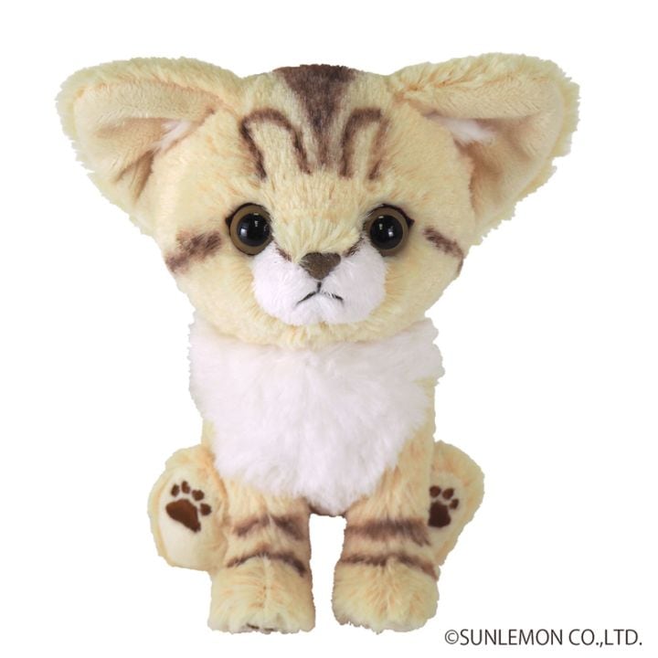 サンレモン　キトン　ぬいぐるみ　スナネコ P-7302
