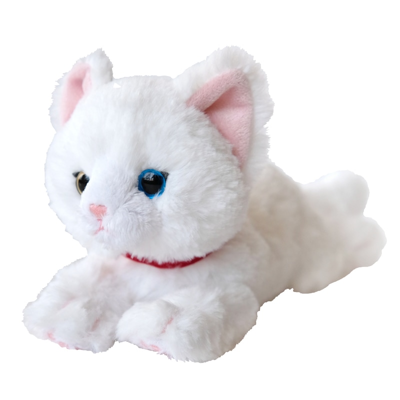 サンレモン　ひざねこ　オッドアイ　ＳＳサイズ　ホワイト P-8042