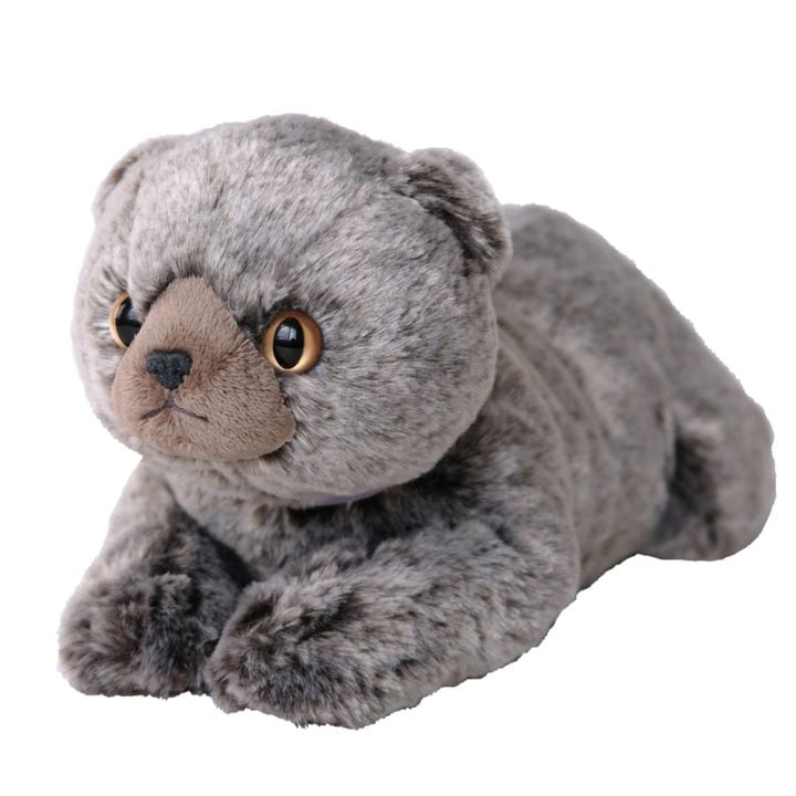 サンレモン　ひざねこ　スコティッシュフォールド　グレイ P-8342
