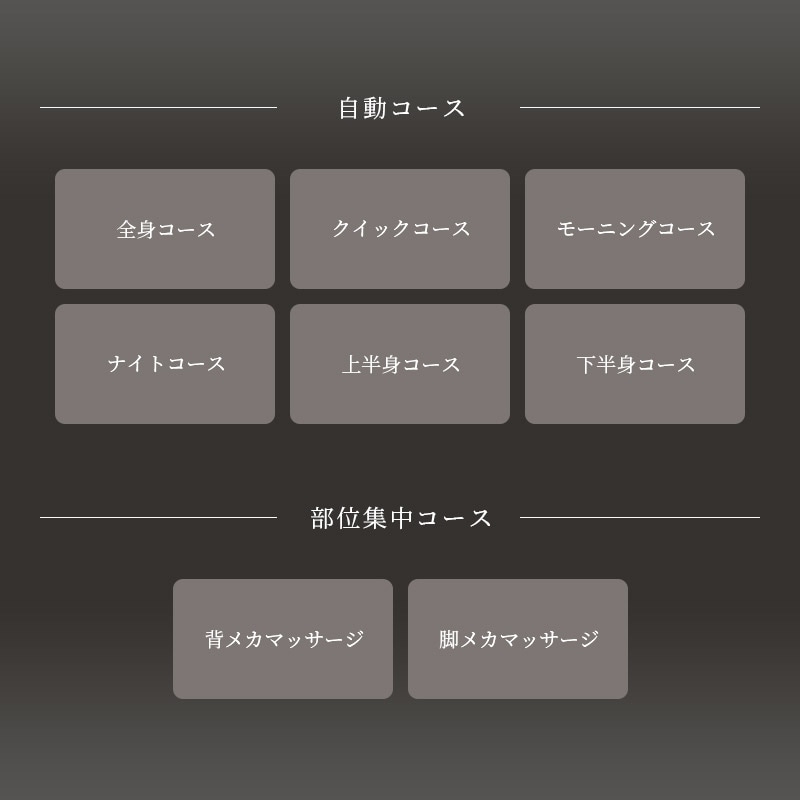 iNel アイネル FIM-VT 100 グレー