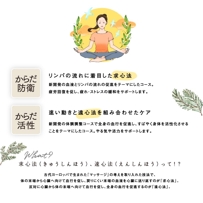 キャラボ CALABO deluxe AIC-C100 X-HD <グレー> *在庫なくなり次第終了*