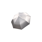С1999  ޤ߼ʿջʥӡؤ 12ͽ