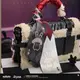 �������������쥤�� ����饯�������᡼�����꡼�� ��������  2027ǯ3�ͽ��