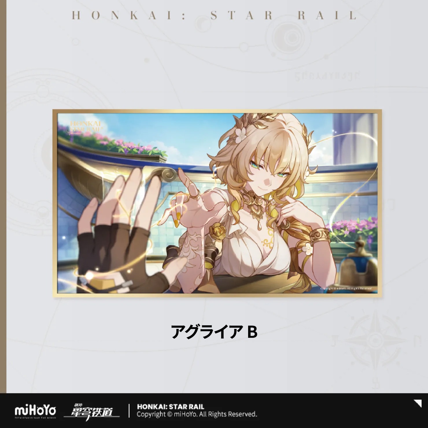 �������������쥤�롡���Ȥλפ��Х��꡼����PET����  2026ǯ4�ͽ��