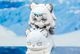 HappyShake �������ʥ��� �ץ�ޥ˥���  2026ǯ10�ͽ��