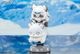 HappyShake �������ʥ��� �ץ�ޥ˥���  2026ǯ10�ͽ��