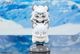 HappyShake �������ʥ��� �ץ�ޥ˥���  2026ǯ10�ͽ��