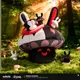 �������������쥤�롡������Ϳ�����ƥ��꡼�����̤������  2026ǯ10�ͽ��